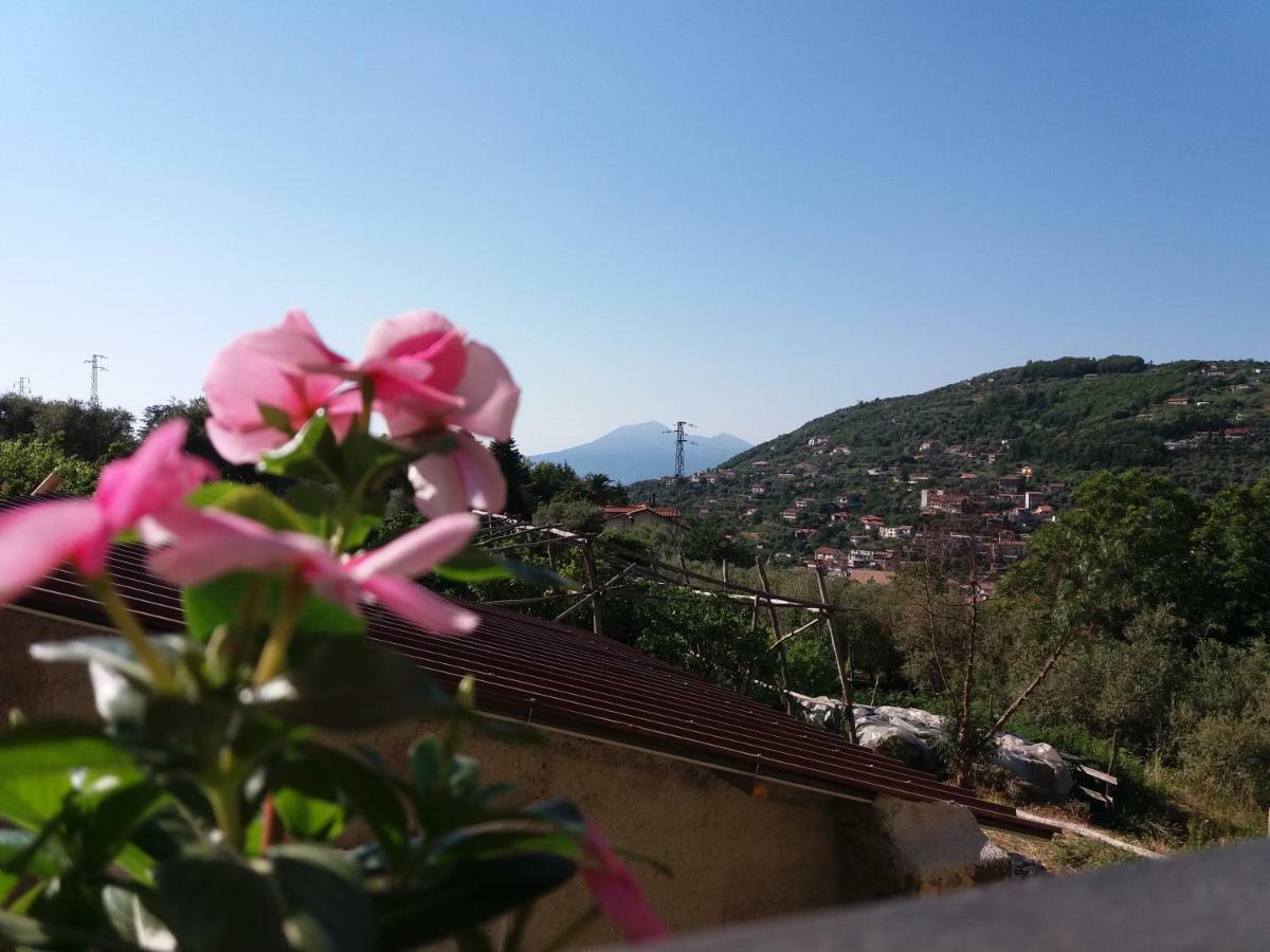 Bed and Breakfast Il Ceppo Pimonte Exteriér fotografie